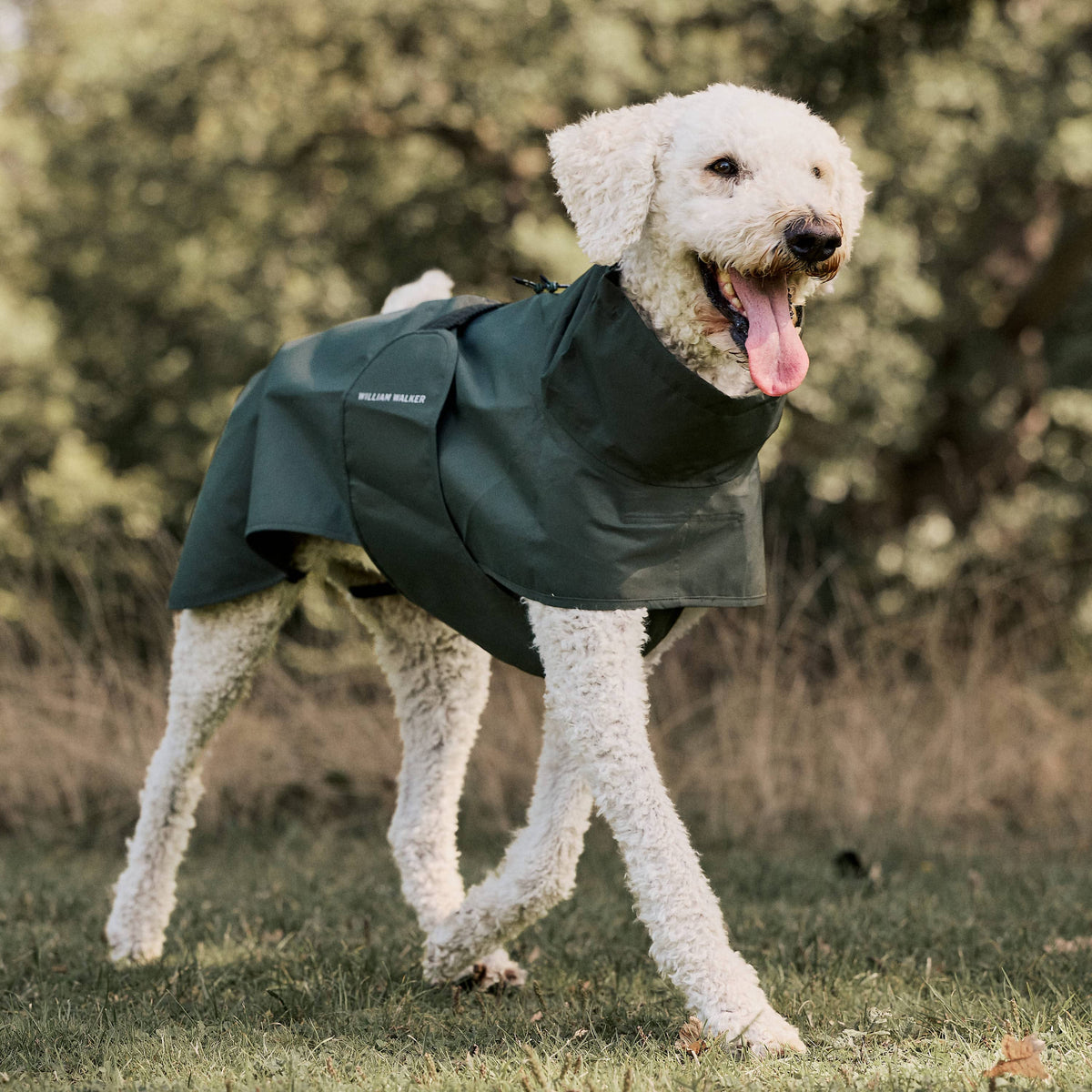 William Walker Waterproof dog raincoat Harbour Dark Moss / 1