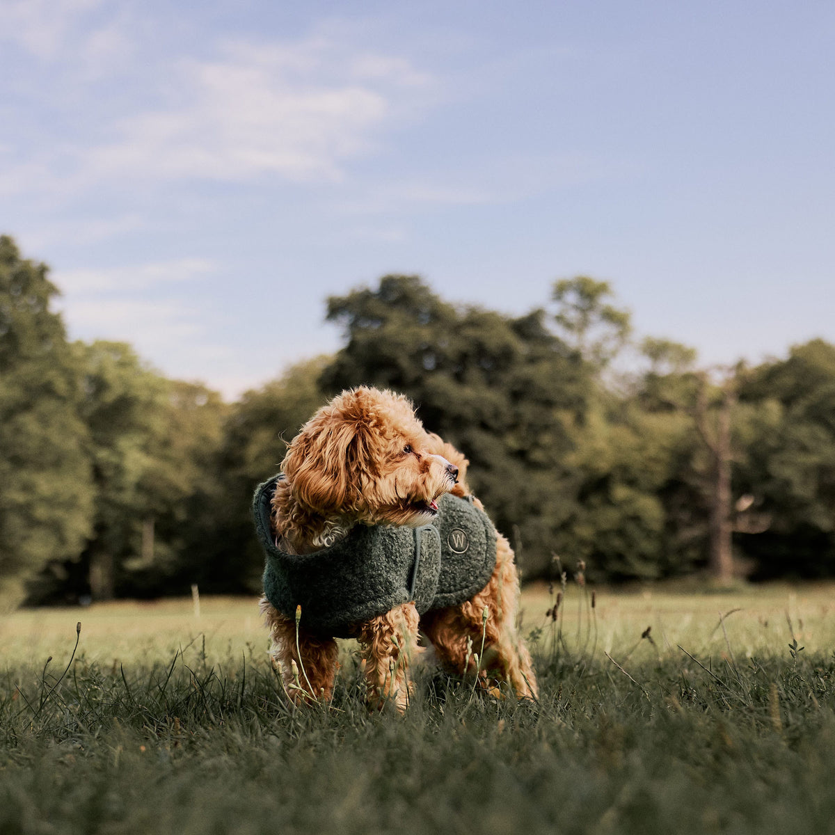 William Walker Gemütlicher Fleece Hundemantel Cozy