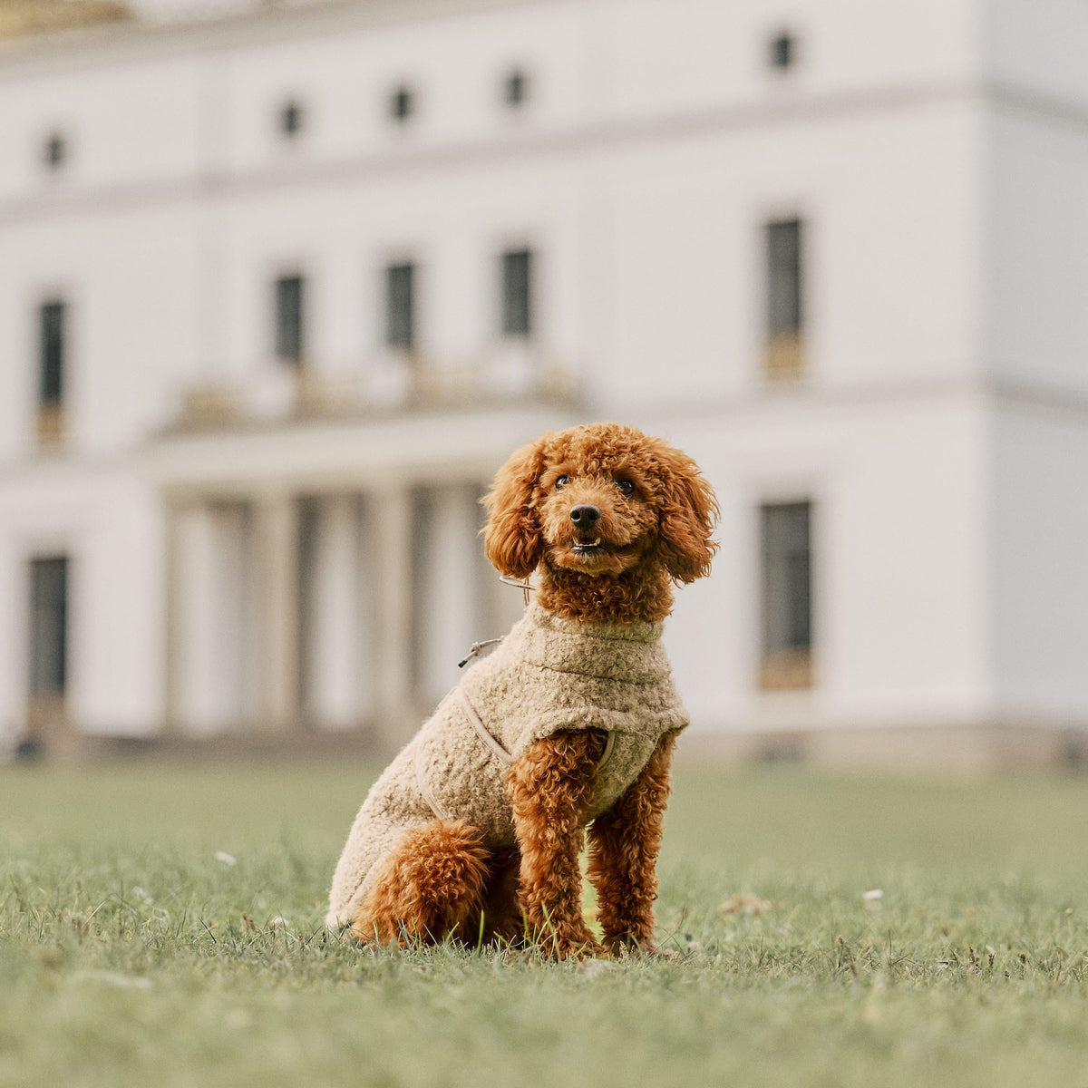 William Walker Gemütlicher Fleece Hundemantel Cozy