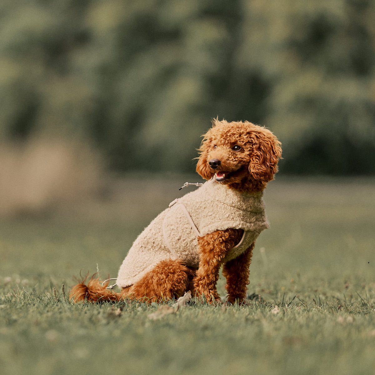 William Walker Gemütlicher Fleece Hundemantel Cozy