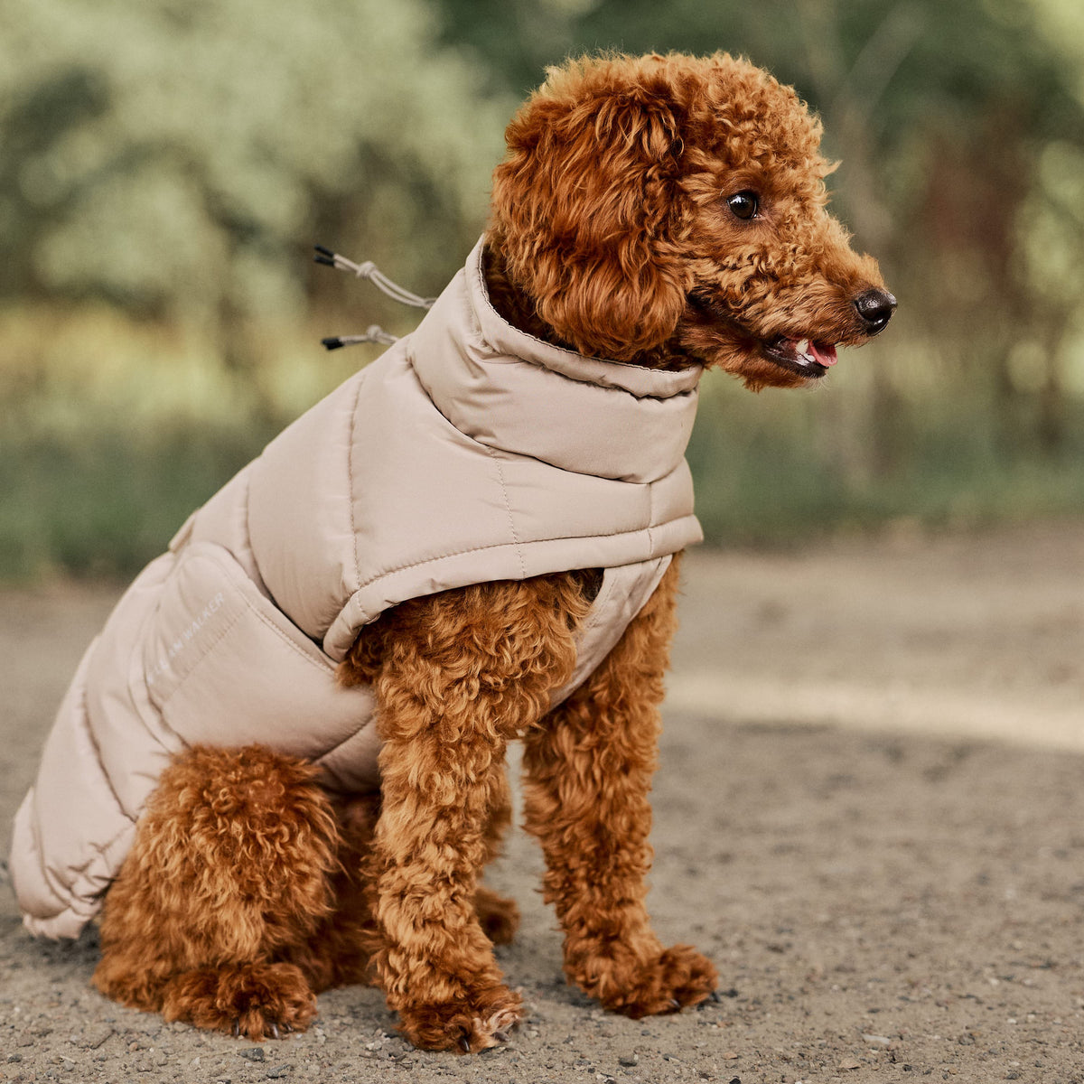 William Walker Warm winter dog coat Alpine