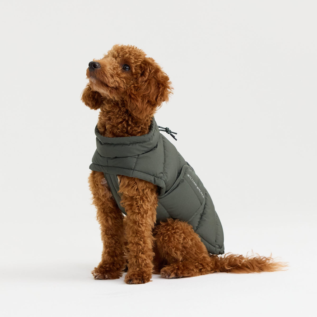William Walker Warm winter dog coat Alpine