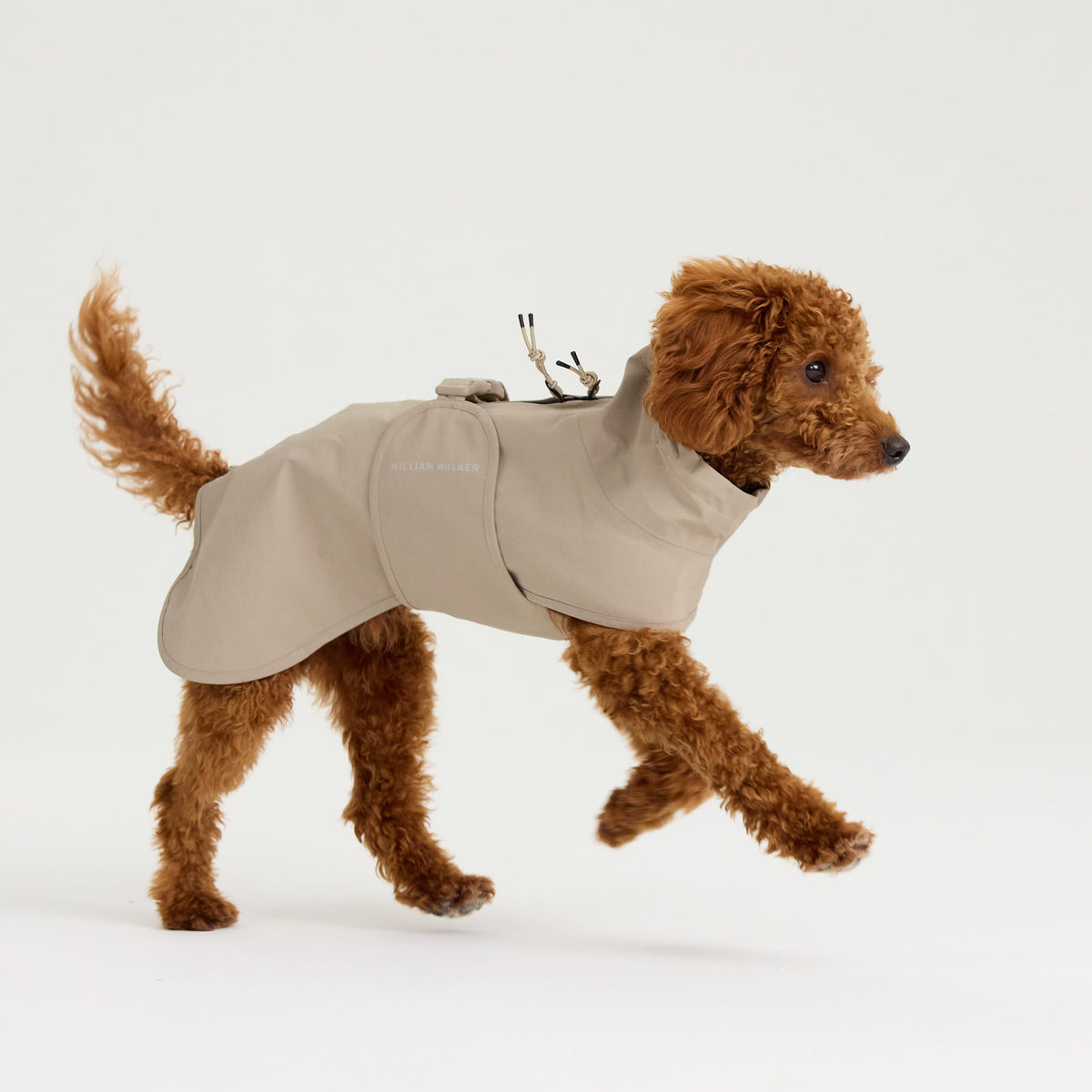 William Walker Waterproof dog raincoat Harbour Sand / 1