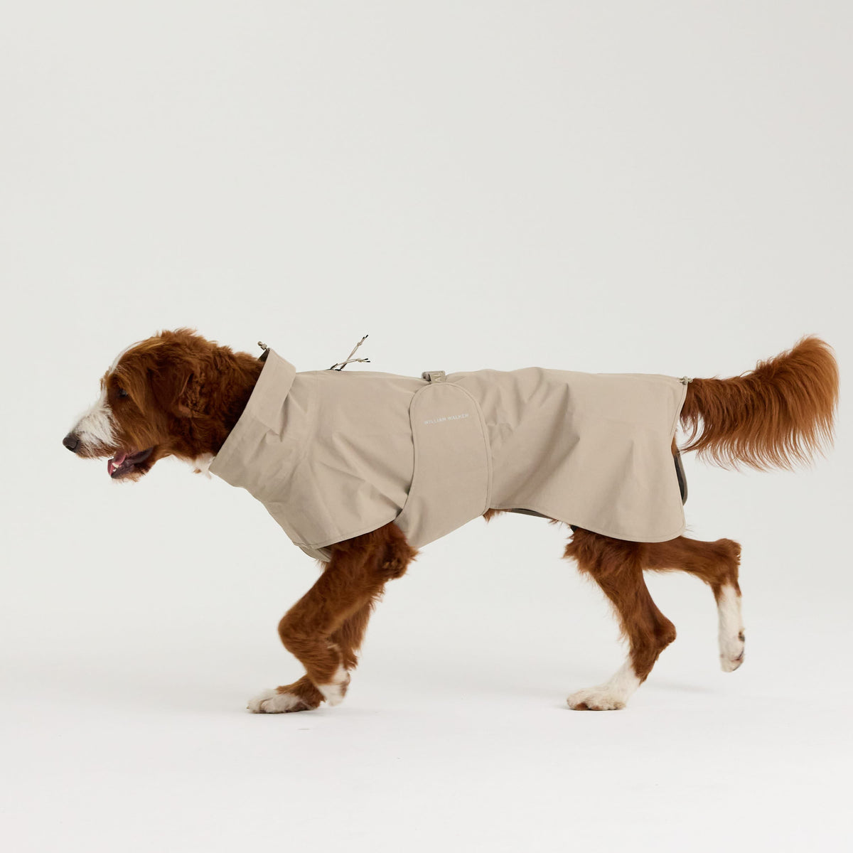 William Walker Waterproof dog raincoat Harbour