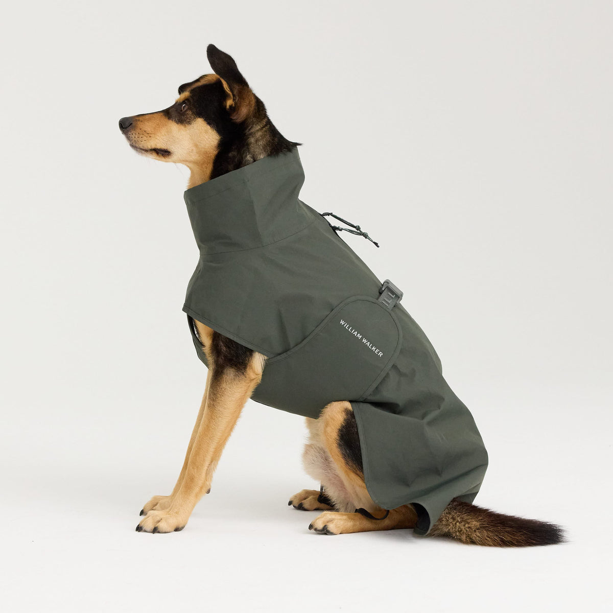 William Walker Waterproof dog raincoat Harbour