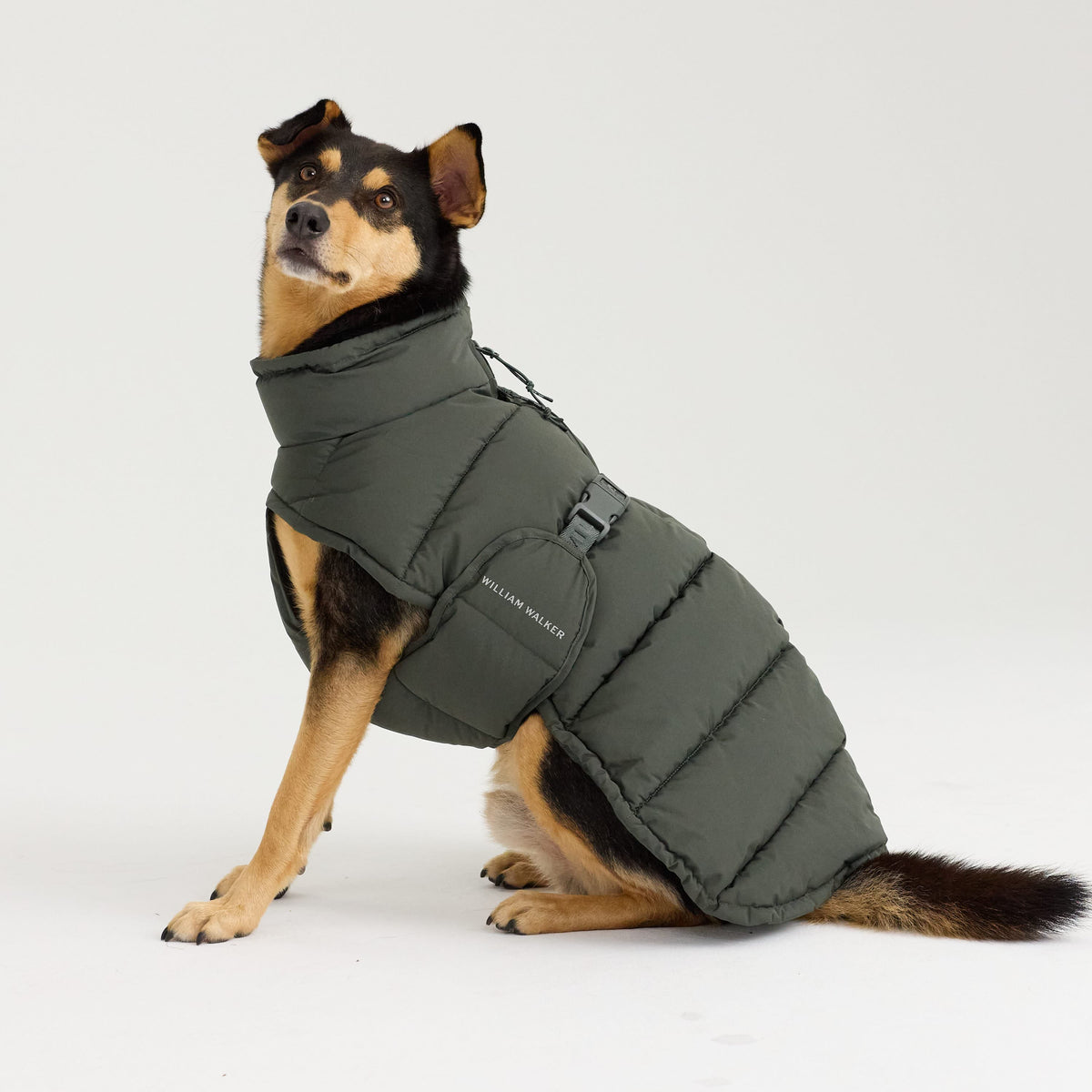 William Walker Warm winter dog coat Alpine