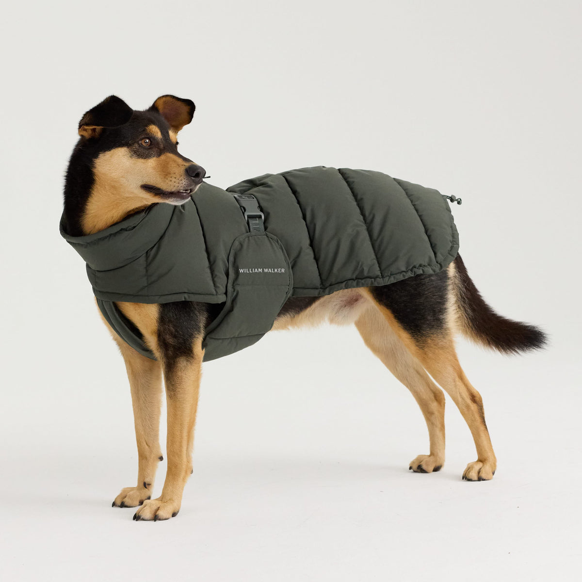 William Walker Warm winter dog coat Alpine