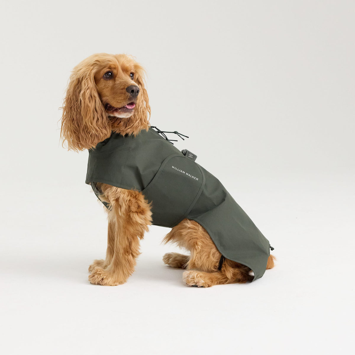 William Walker Waterproof dog raincoat Harbour