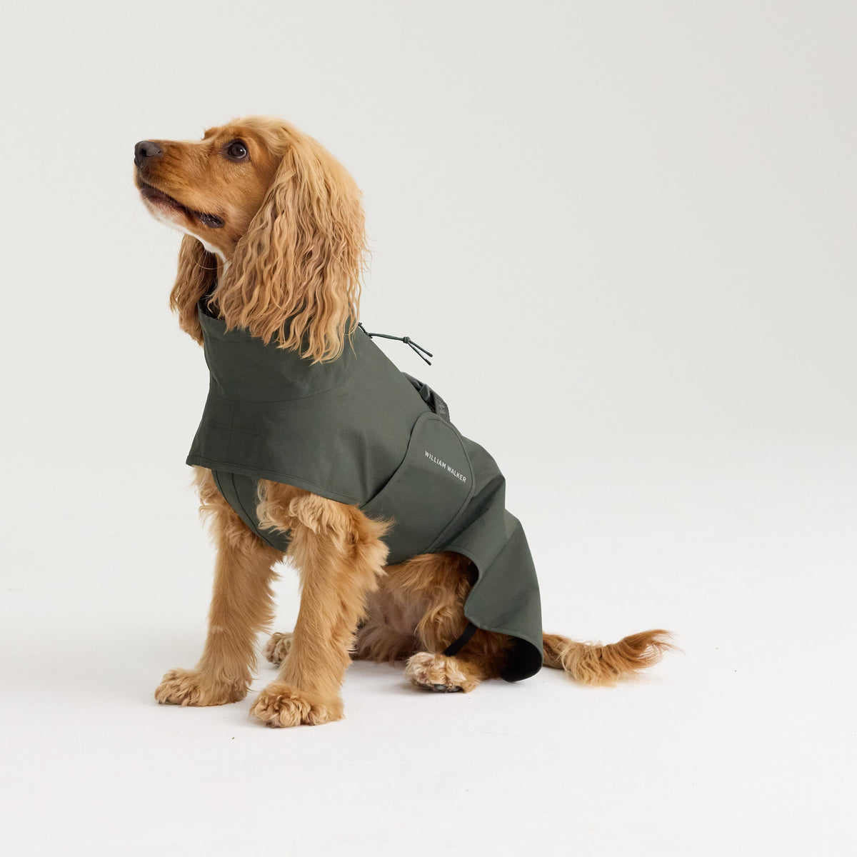 William Walker Waterproof dog raincoat Harbour