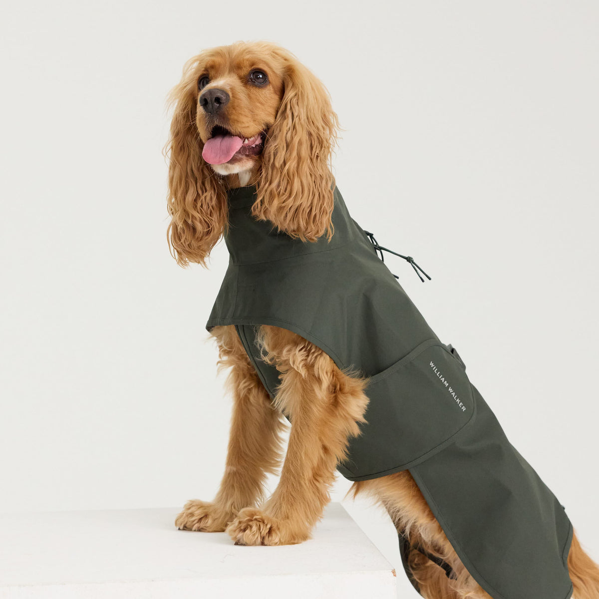 William Walker Waterproof dog raincoat Harbour