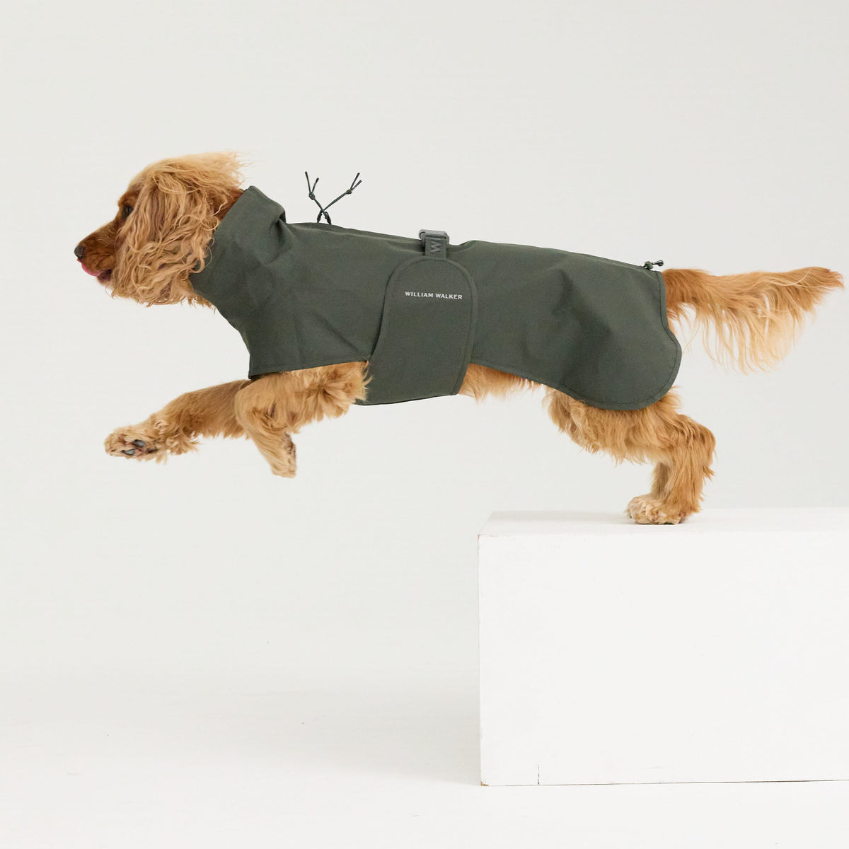 William Walker Waterproof dog raincoat Harbour