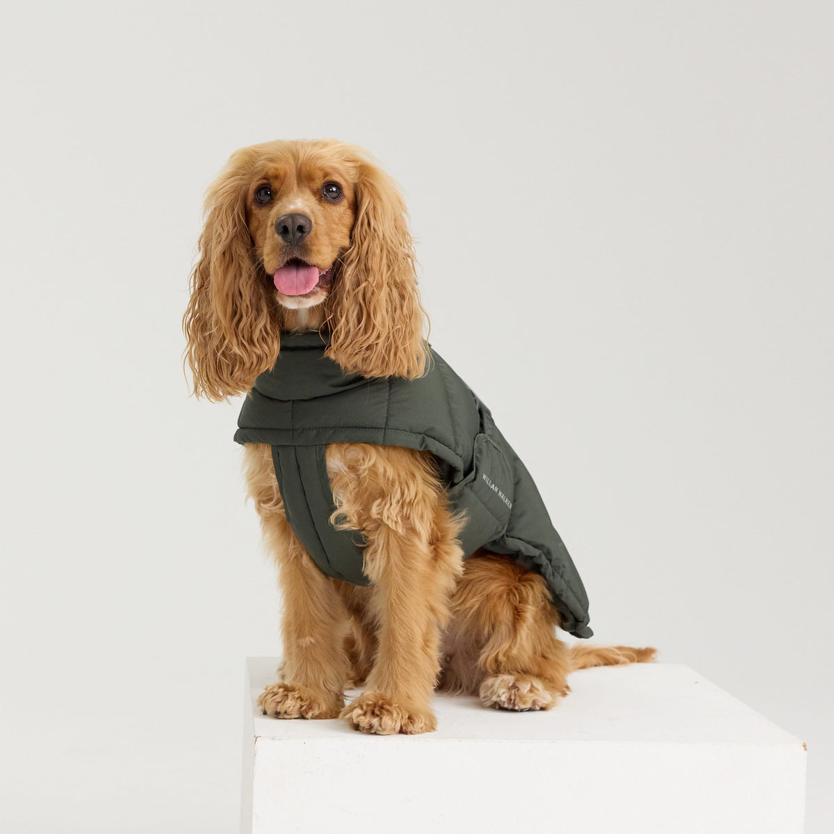 William Walker Warm winter dog coat Alpine