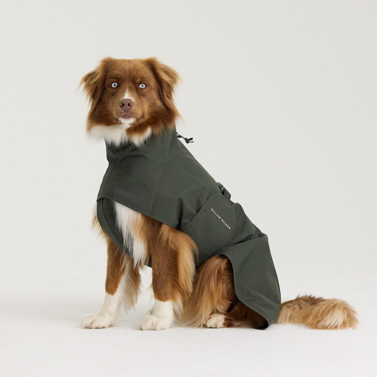William Walker Waterproof dog raincoat Harbour