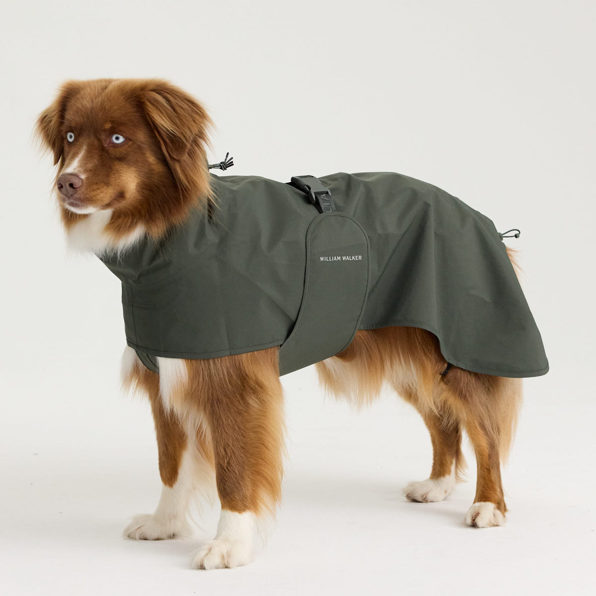 William Walker Waterproof dog raincoat Harbour