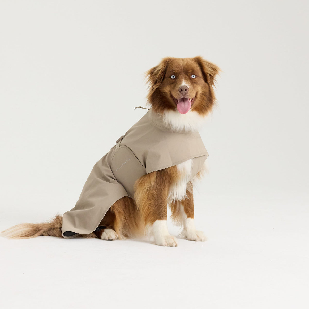 William Walker Waterproof dog raincoat Harbour