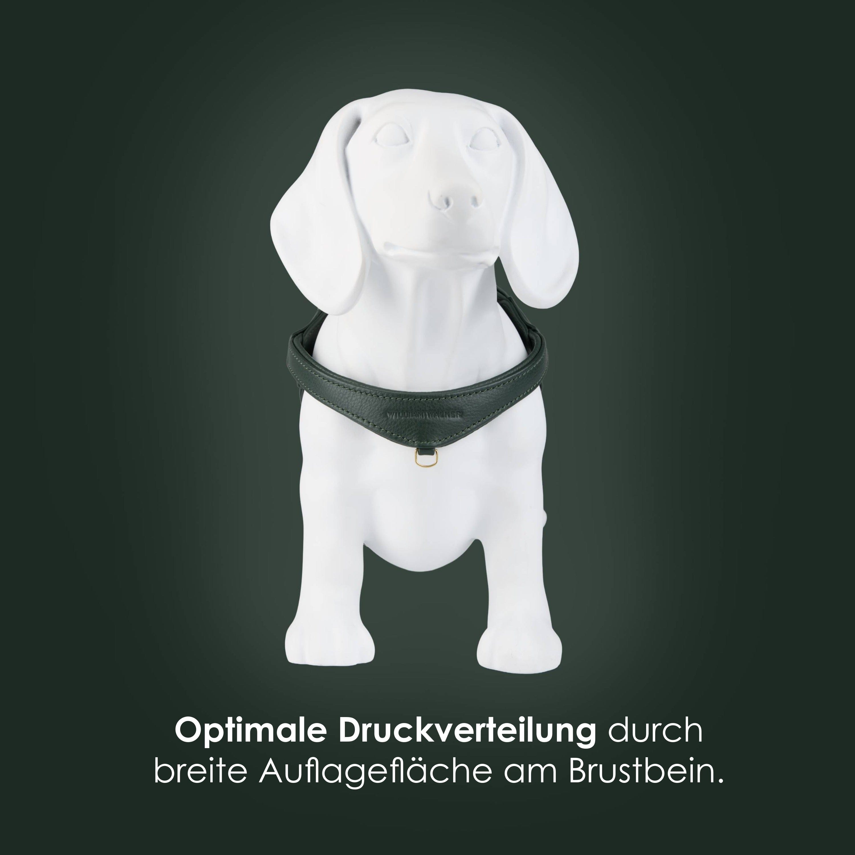 William Walker Step-In Leder Geschirr Pico für kleine Hunde