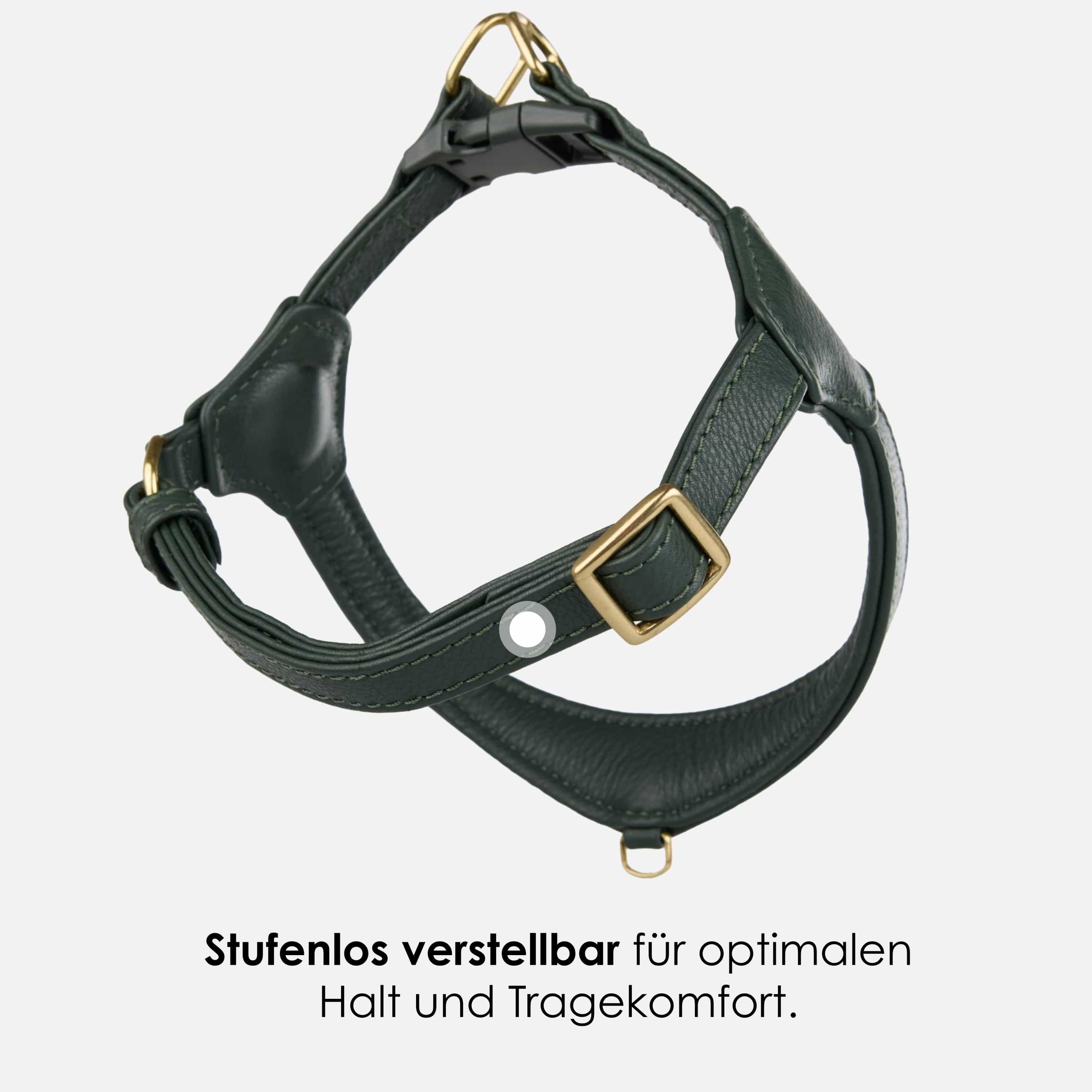 William Walker Step-In Leder Geschirr Pico für kleine Hunde