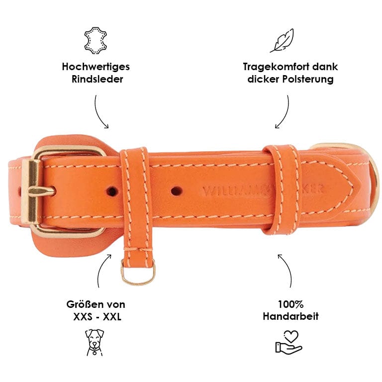 William Walker Leder Hundehalsband Amber (Orange)