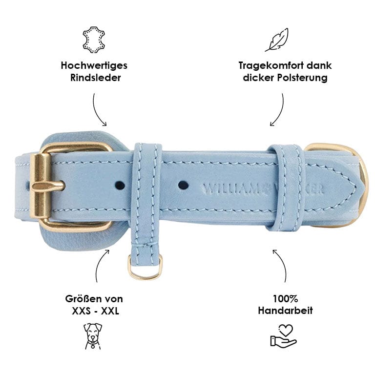 Collar para perro Sky