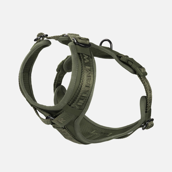 Premium Y dog harness Forest (green)