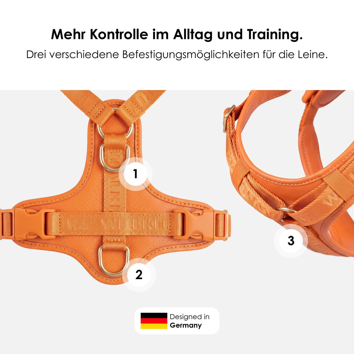 William Walker Hochwertiges Leder Y-Hundegeschirr Plain