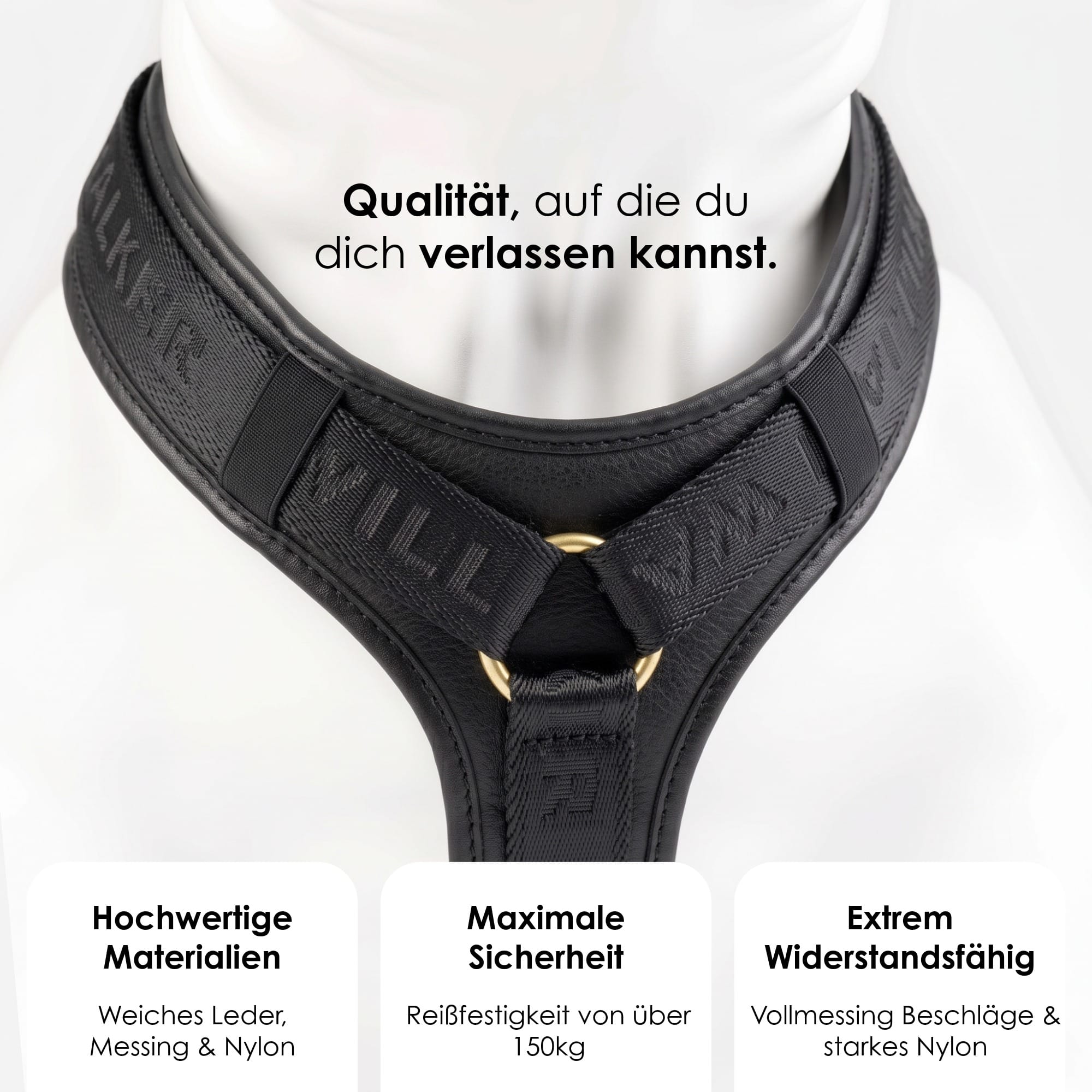 William Walker Hochwertiges Leder Y-Hundegeschirr Plain