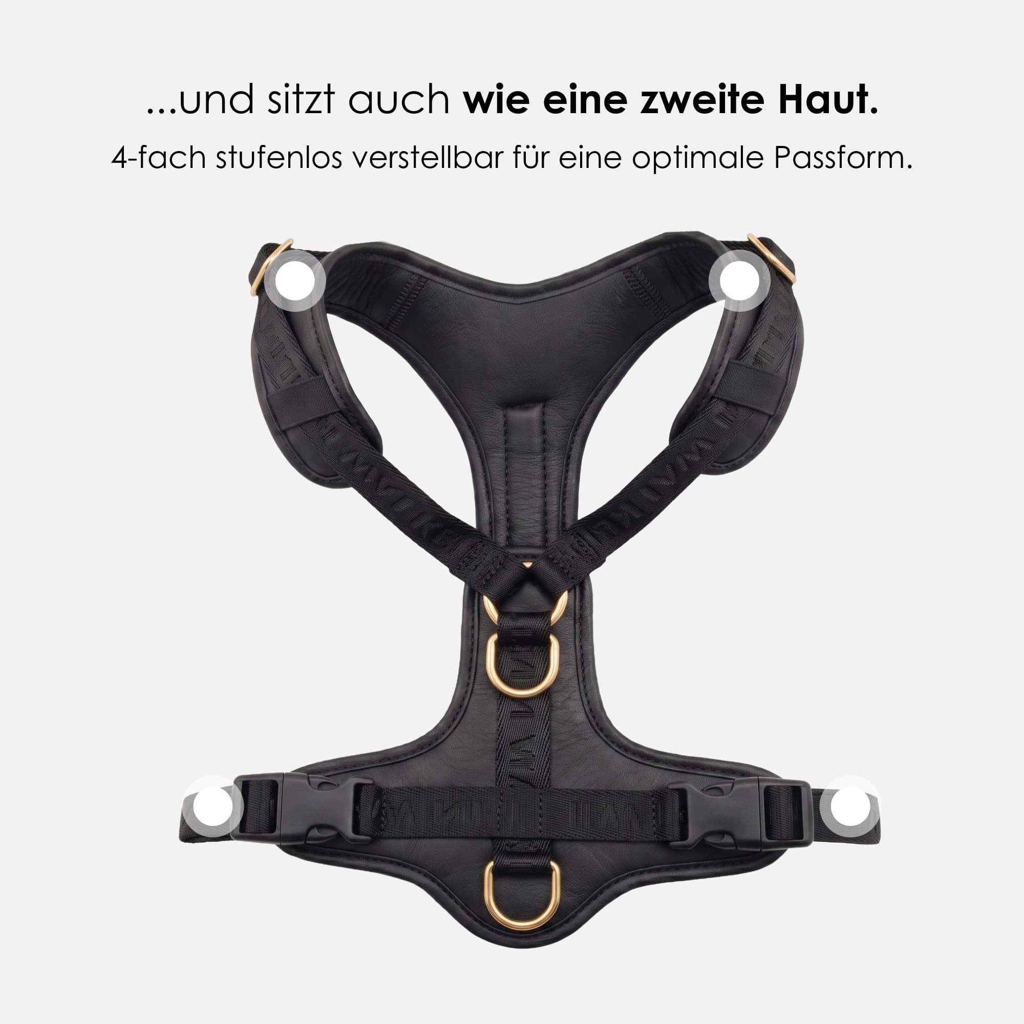 William Walker Hochwertiges Leder Y-Hundegeschirr Plain