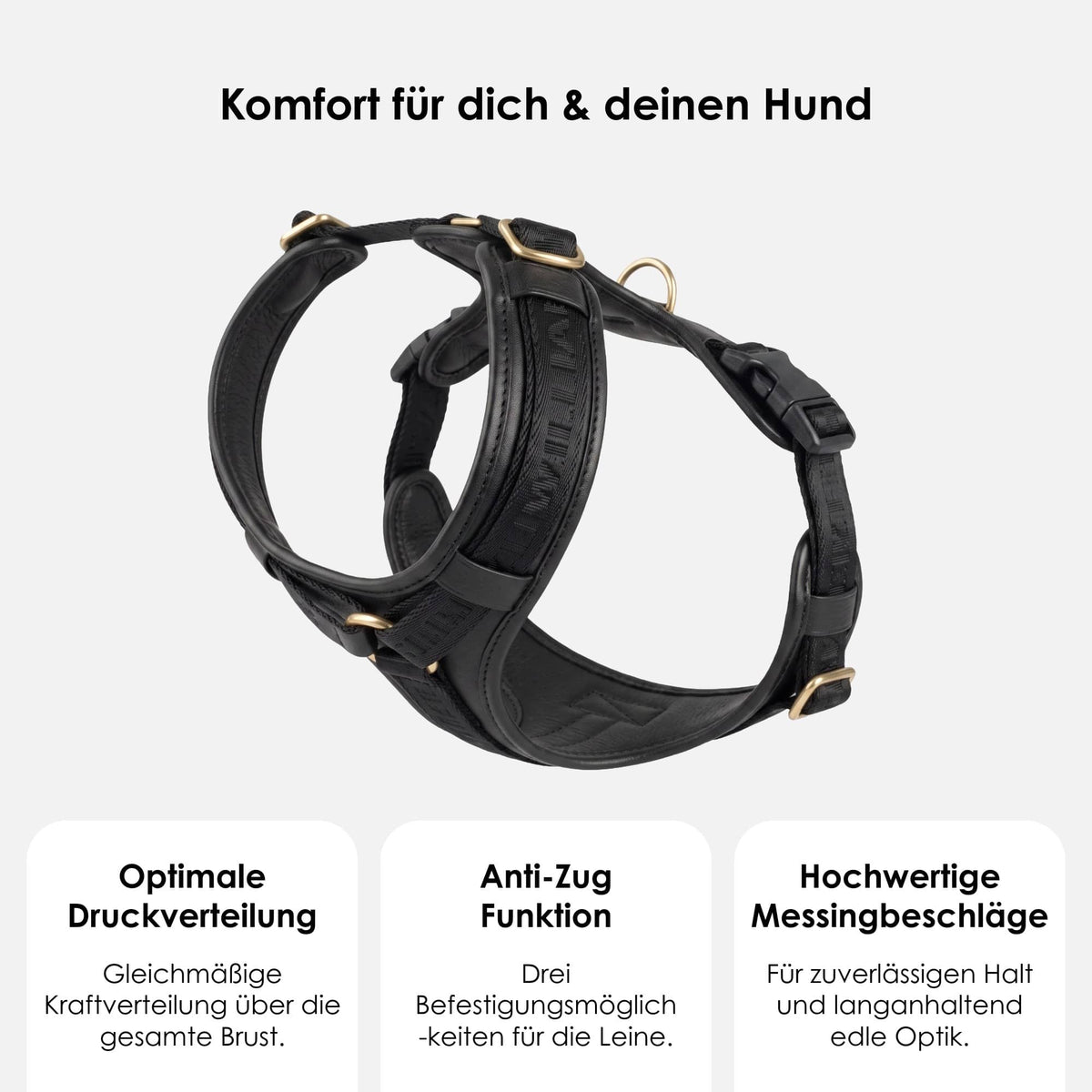 William Walker Hochwertiges Leder Y-Hundegeschirr Plain
