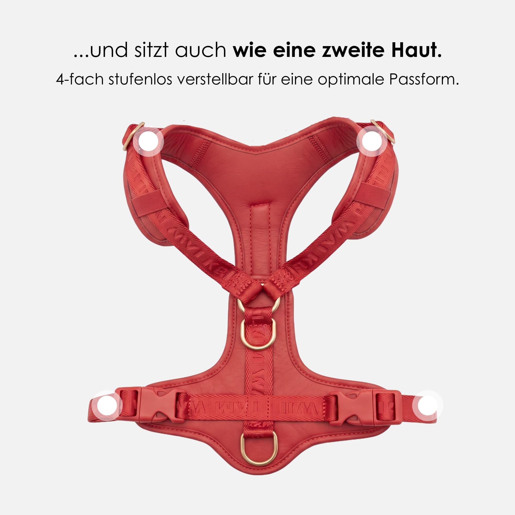 William Walker Hochwertiges Leder Y-Hundegeschirr Plain