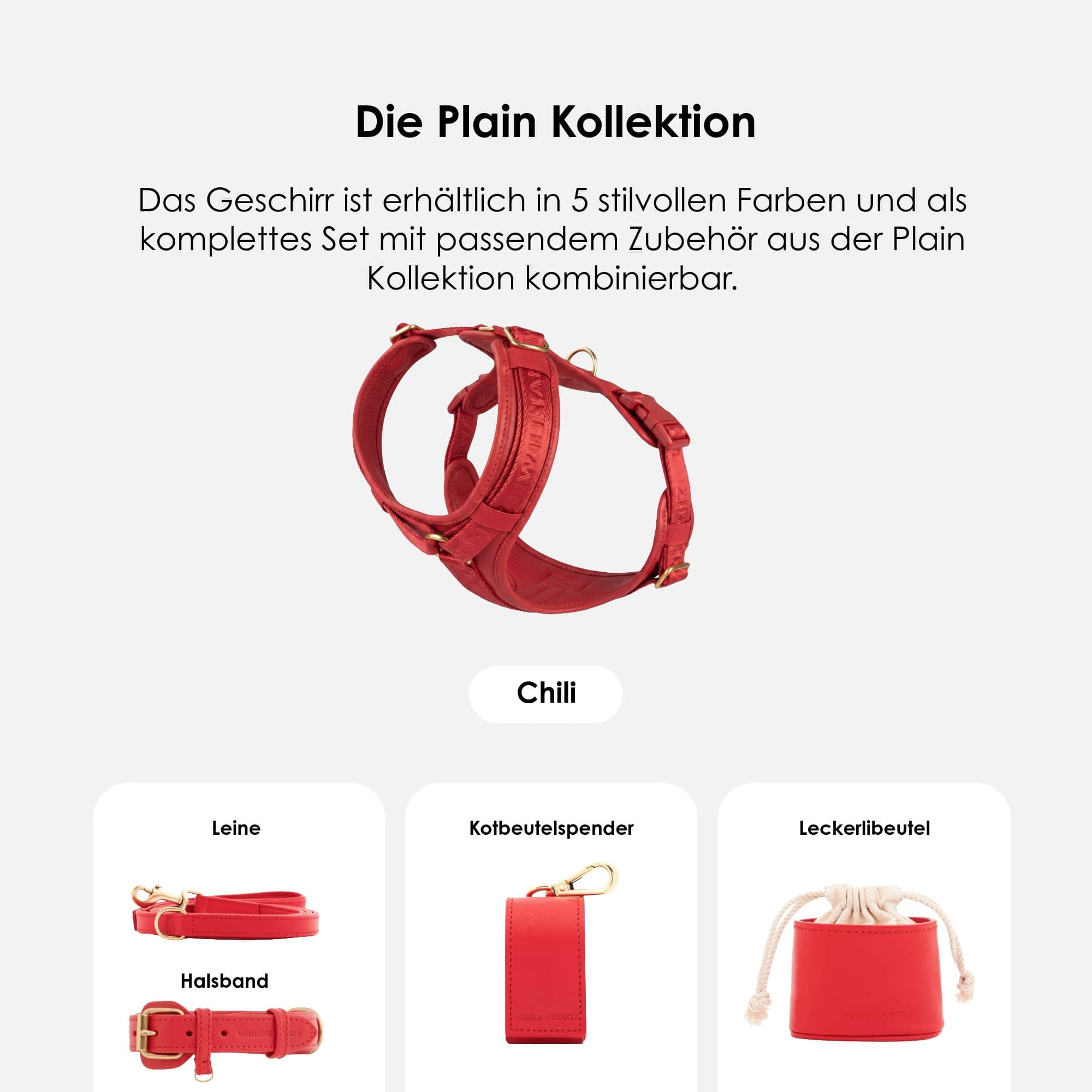William Walker Hochwertiges Leder Y-Hundegeschirr Plain