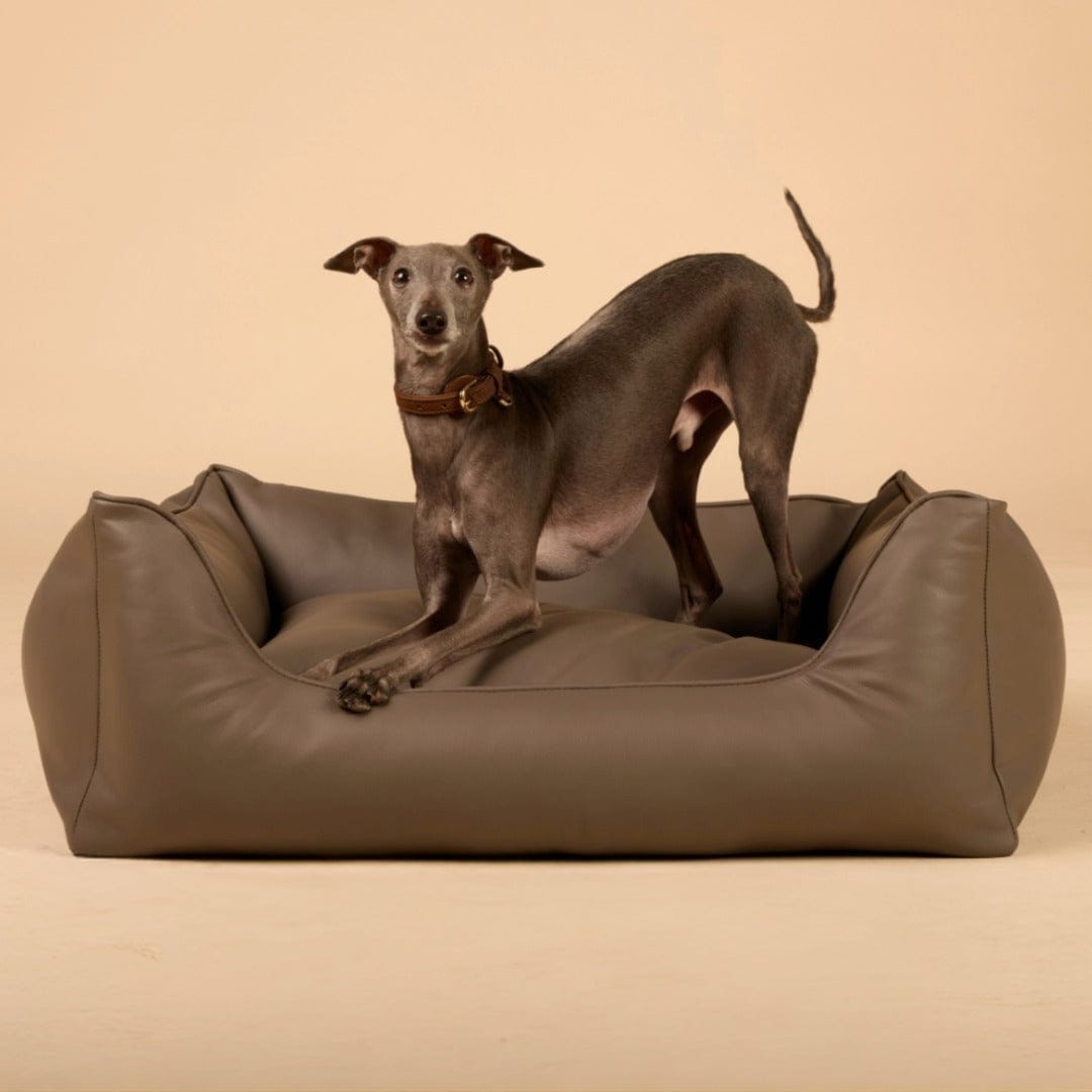 William Walker Cama para perros ortopédica Easy Stone / S / Kissen (Flocken)