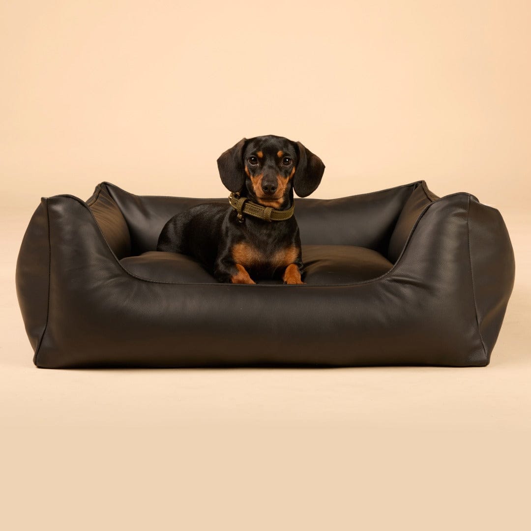 William Walker Orthopädisches Hundebett Easy