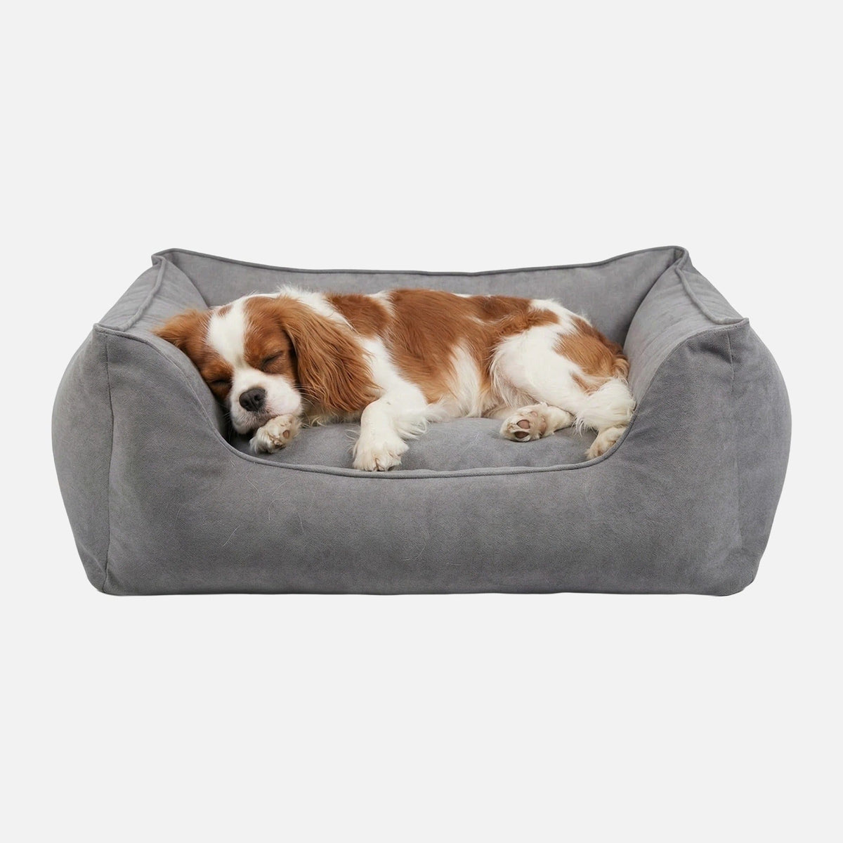 William Walker Cama para perros ortopédica Plain Cloud / S / Kissen (Flocken)