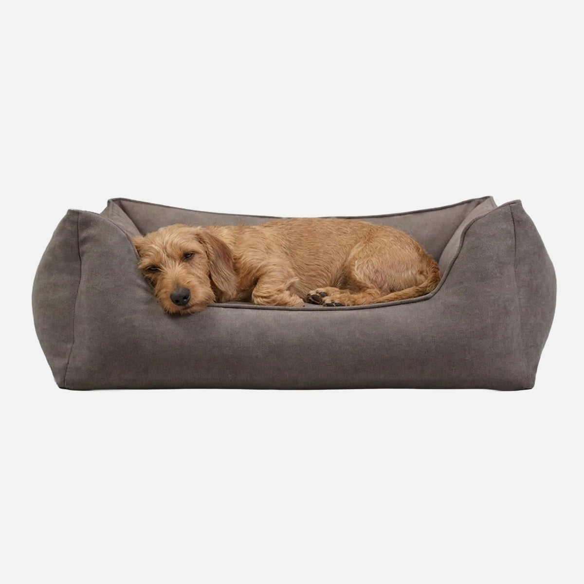 William Walker Cama para perros ortopédica Plain Stone / S / Kissen (Flocken)