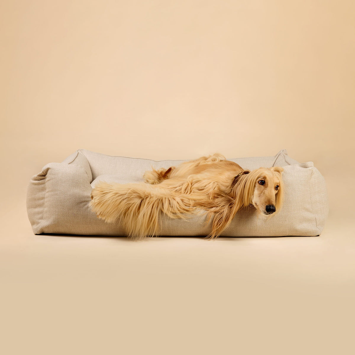 William Walker Cama para perros ortopédica Luxe Sand / S / Kissen (Flocken)