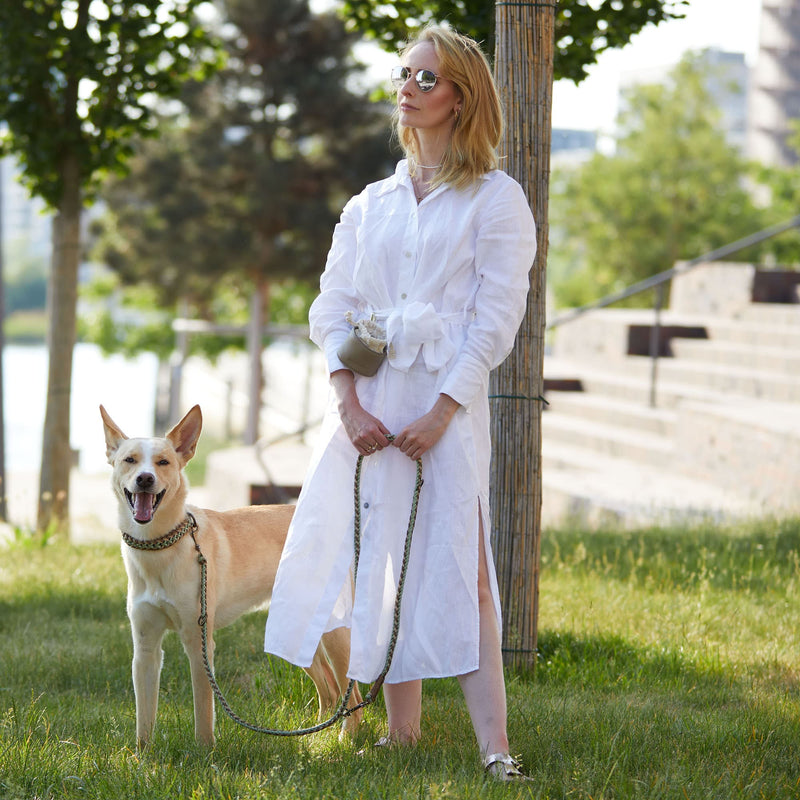 Sommerliches hochwertiges Paracord- und Biothane-Hundehalsband in Braun, Beige und pastellgrün - Verstellbar, robust und ideal für kleine und große Hunde.