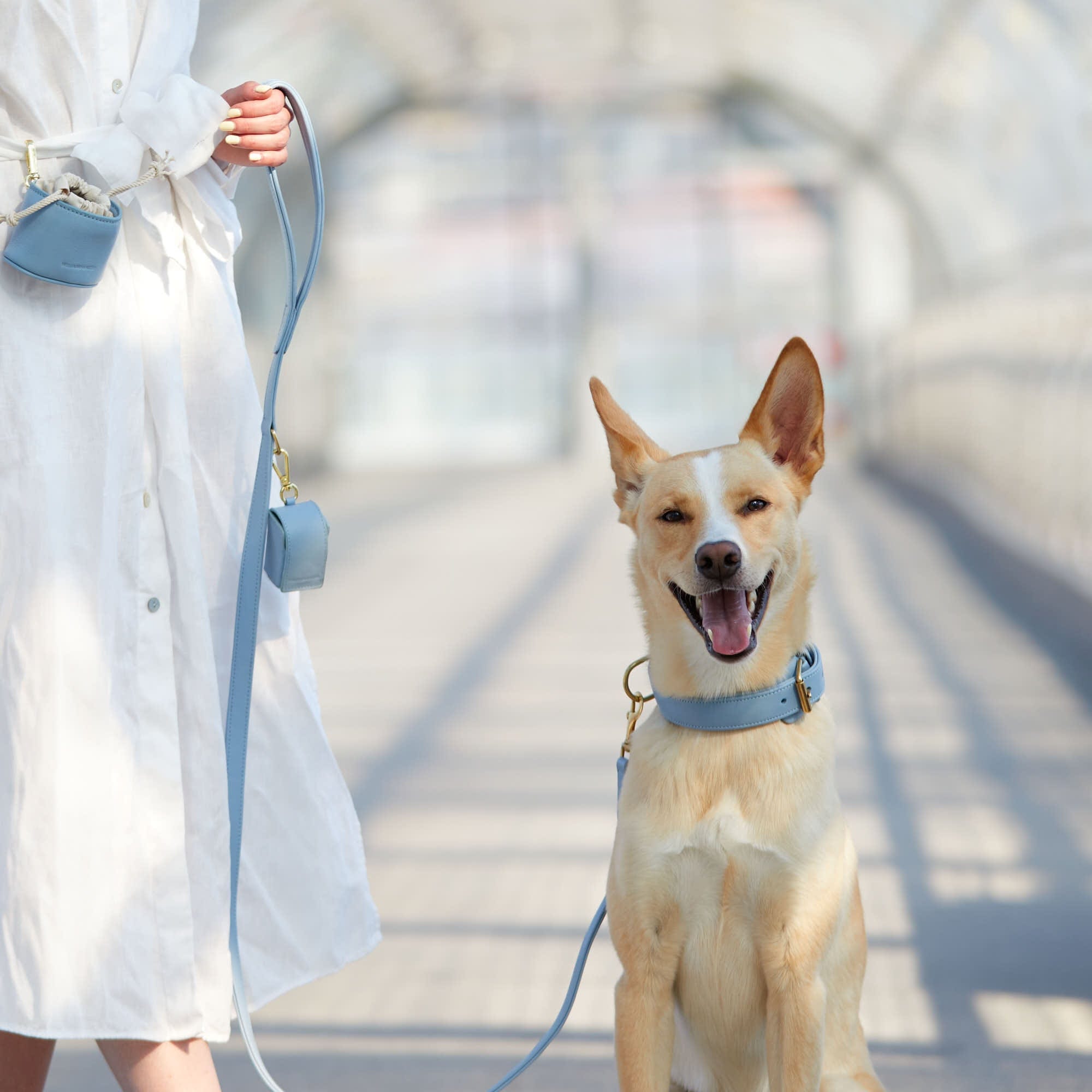 Stylisches und hochwertiges Hundezubehör aus Leder in hellem Blau - Lederhalsband, Lederleine, Kotbeutelspender und Leckerlibeutel