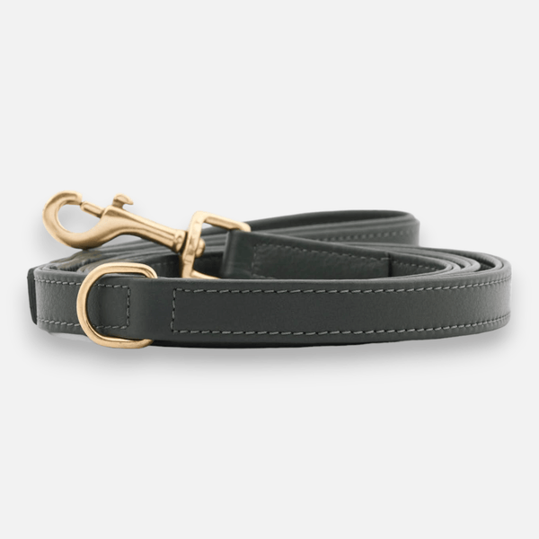 Premium Leather Dog Leash Dark Moss (dark green)