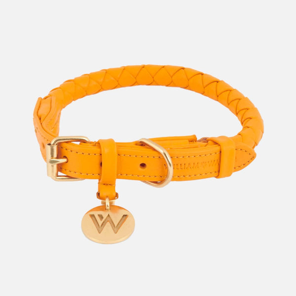 William Walker Leder Hundehalsband Twisted Curry (Senfgelb) // Limited