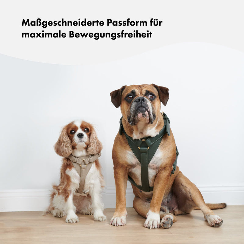 Grünes und Beiges Ledergeschirr für Hunde - Hochwertiges, strapazierfähiges Hundegeschirr aus echtem Leder in stylischen Farben