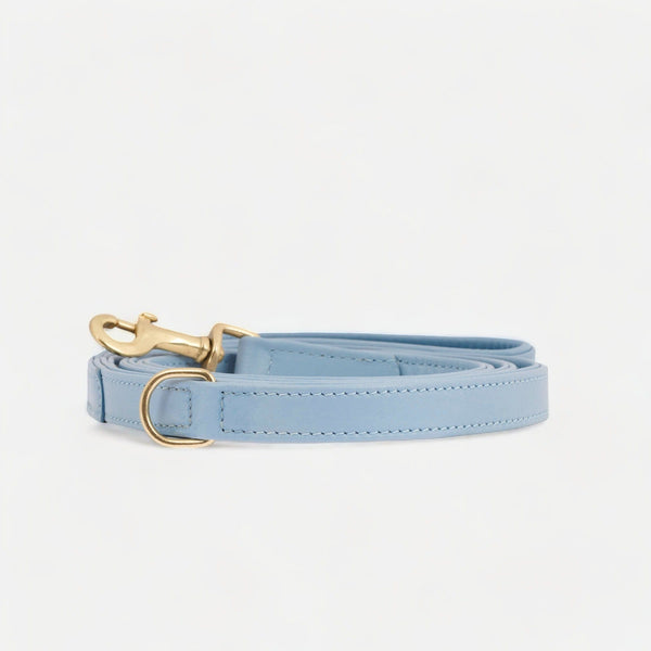 Premium Leather Dog Leash Sky (Baby Blue)