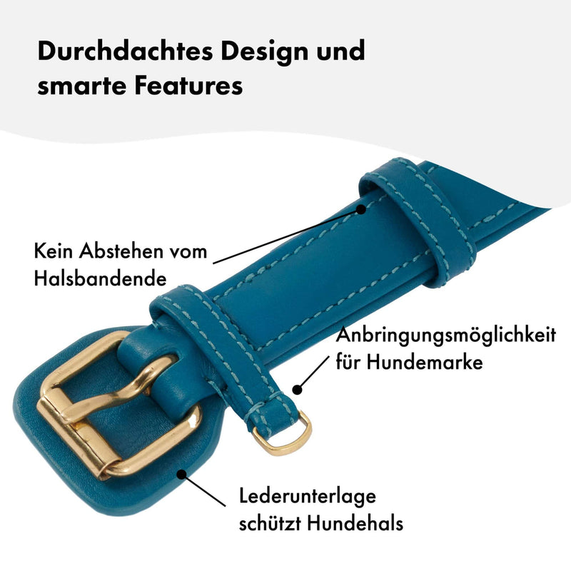 Hochwertiges Echtleder-Hundehalsband - Verstellbar, robust und ideal für kleine und große Hunde in schönem Blau und mit goldenen Schnallen. 