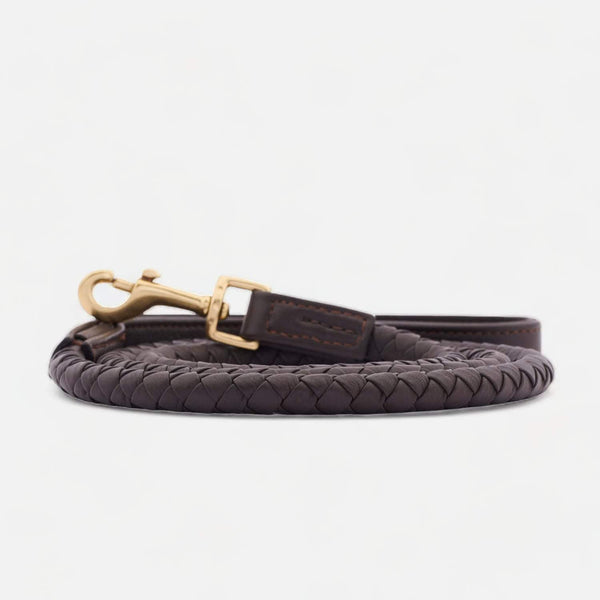 Premium Leather Dog Leash Twisted Earth (Brown)