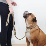 William Walker Paracord Hundehalsband Shire // Limited