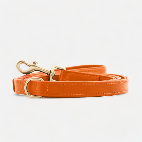Premium Leather Dog Leash Amber (Orange)