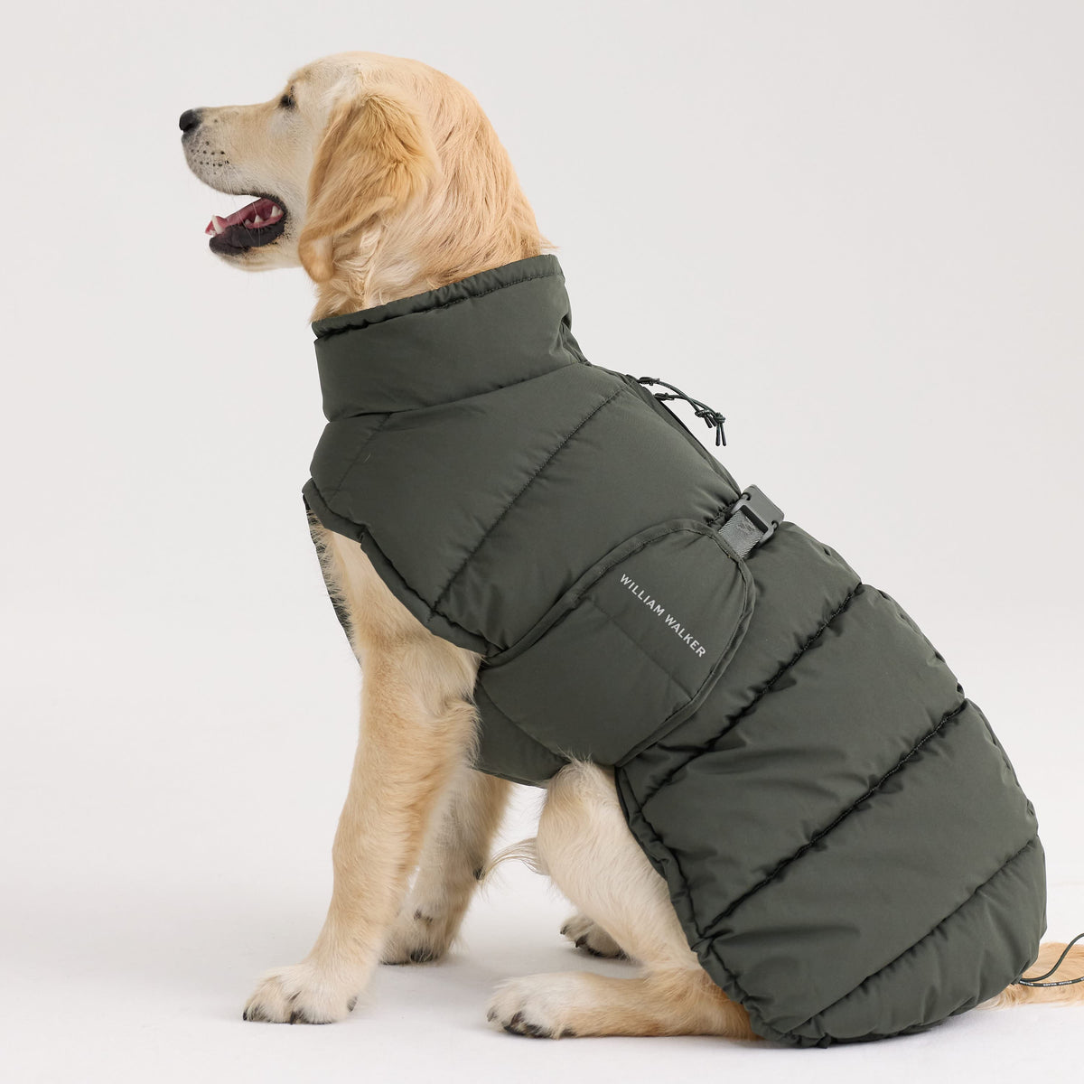 William Walker Warm winter dog coat Alpine