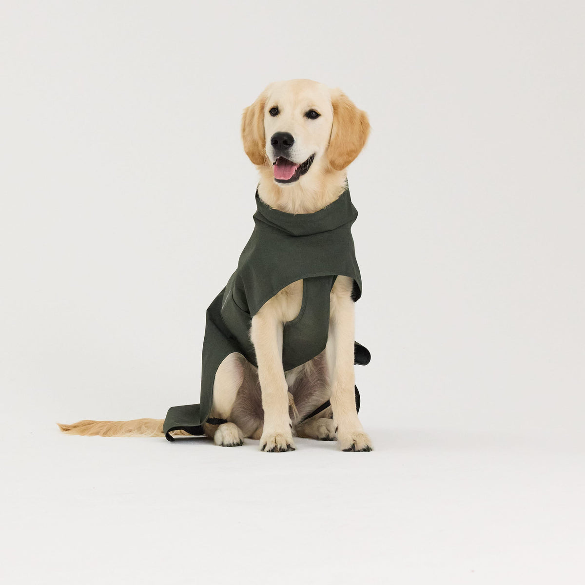William Walker Waterproof dog raincoat Harbour