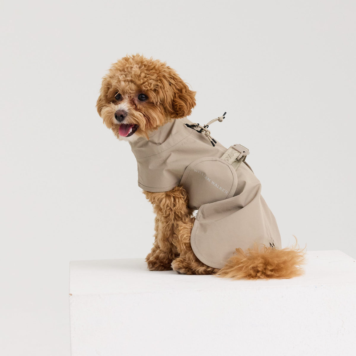 William Walker Waterproof dog raincoat Harbour