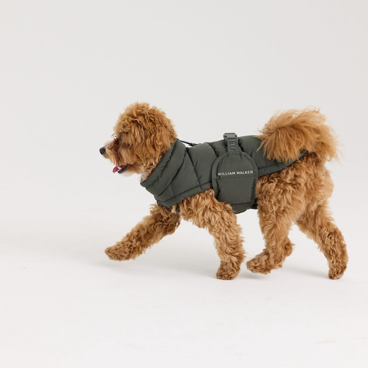 William Walker Warm winter dog coat Alpine