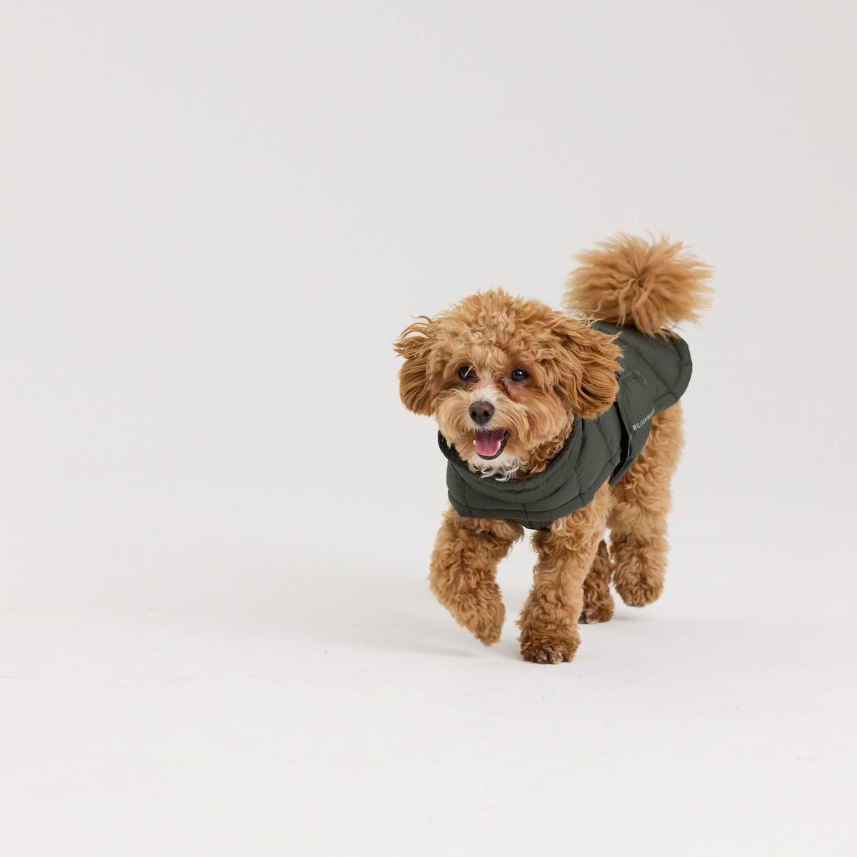 William Walker Warm winter dog coat Alpine